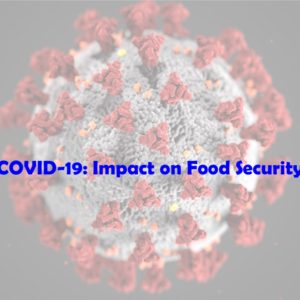 Hunger on the International Stage During COVID-19
