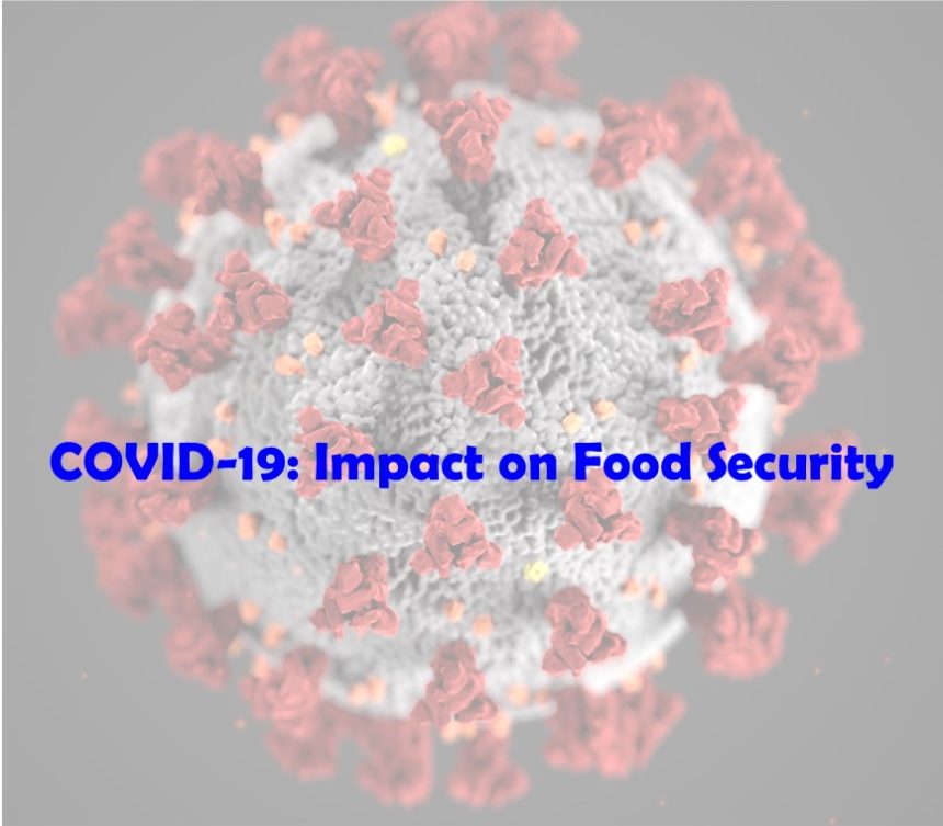 Hunger on the International Stage During COVID-19