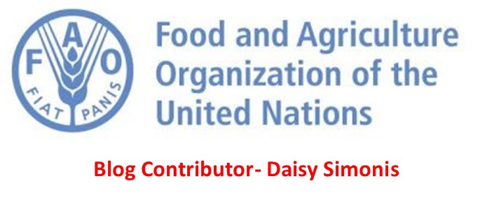 United Nations- Feeding America Reports