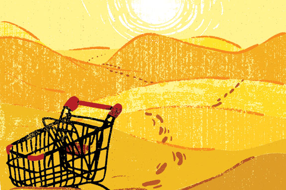 Shedding Light on Food Deserts in America