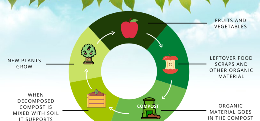 Food Waste Management and Curbside Composting