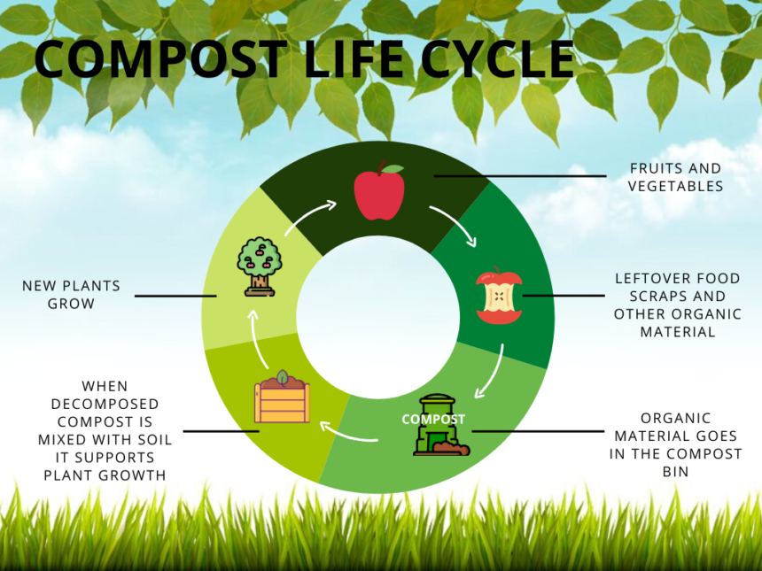 Food Waste Management and Curbside Composting