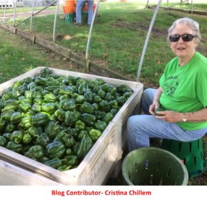 What is gleaning (and how can you get involved)?